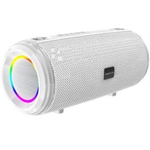 Borofone BR13 Altavoz Inalámbrico Bluetooth Young Sports Gris