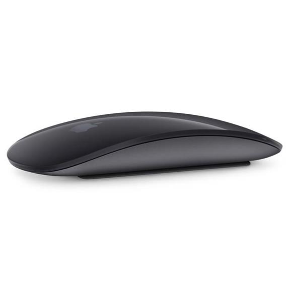 RATÓN APPLE MAGIC MOUSE 2 SPACE GREY (MRME2ZM/A)