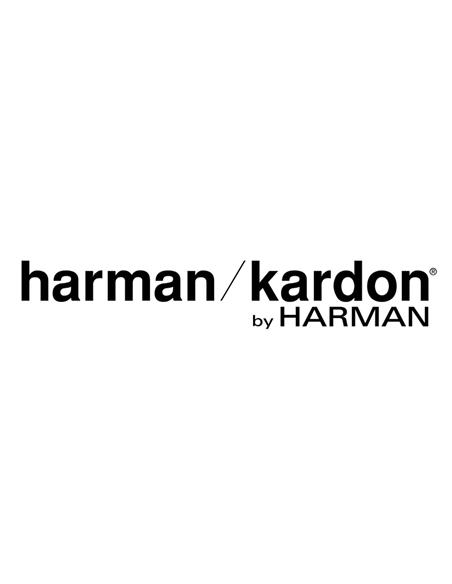Harman Kardon Go Play 3 Altavoz Grey
